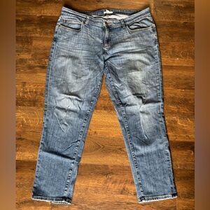 Eileen Fisher Blue Denim Jeans